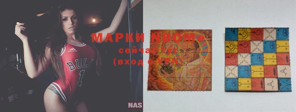 ECSTASY Алзамай
