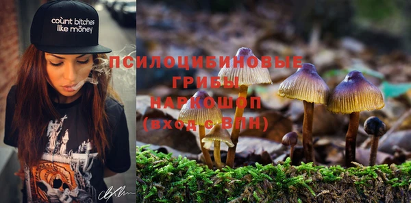 прущие крисы Алексин