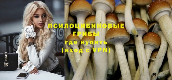 ECSTASY Алзамай