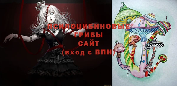 прущие крисы Алексин