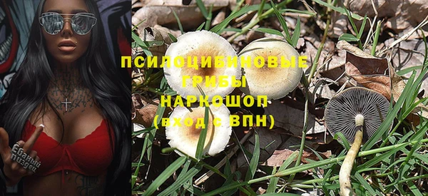 прущие крисы Алексин