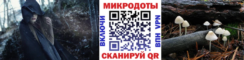 блэк спрут ТОР  Болхов  Галлюциногенные грибы Magic Shrooms 