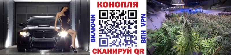 Каннабис конопля  наркошоп  Болхов 